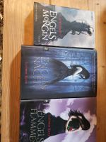 Bücher Lauren Kate Engels Saga 3 Teile 