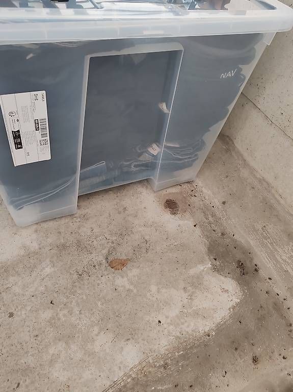 Pantaloni: Diverse Hosen – Usato da Dübendorf venduto da lyd_7gxl 2