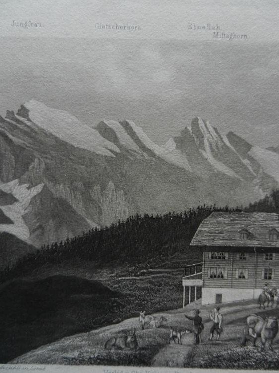 Incisioni: Mürren Jungfrau – Usato da Risch venduto da Rischli15 4