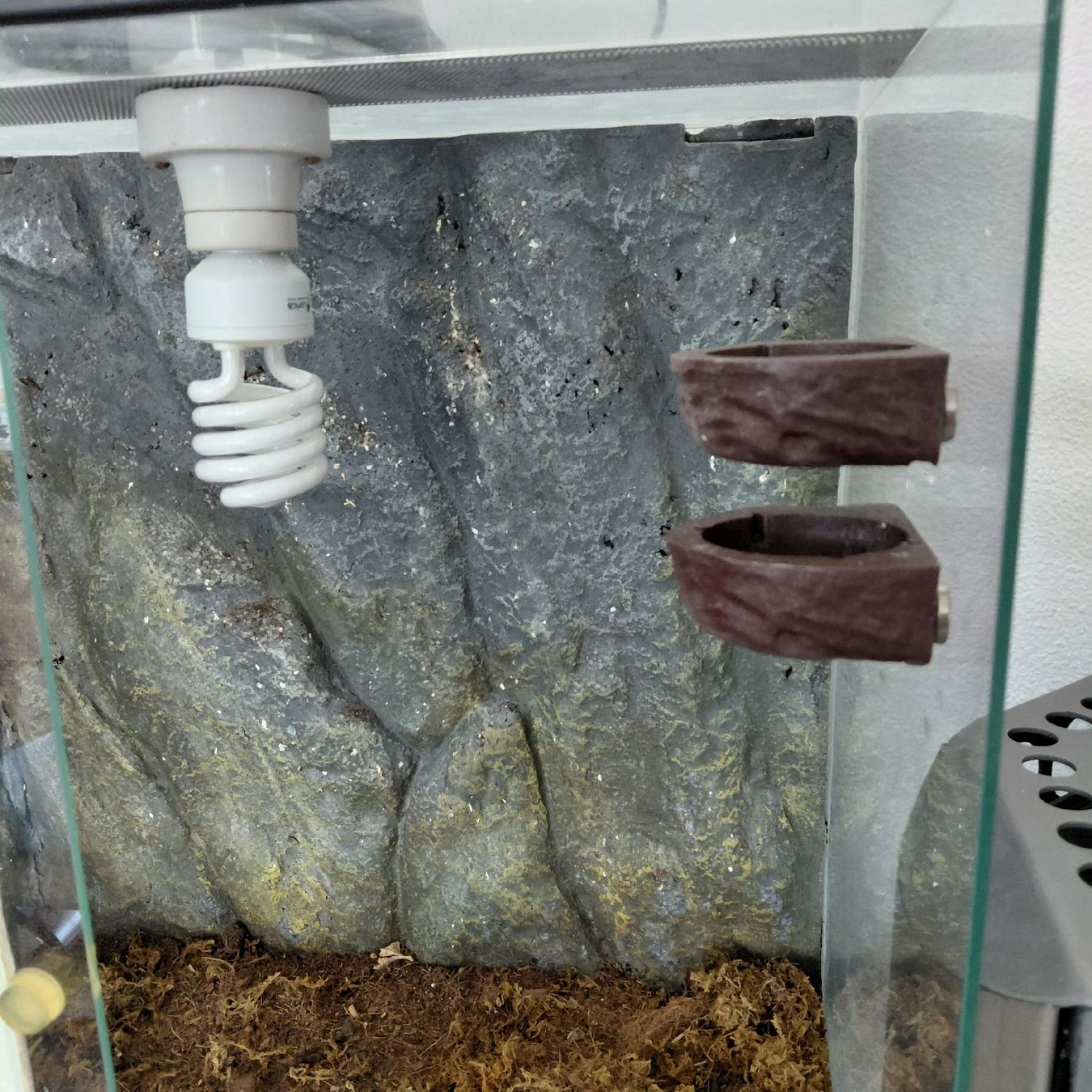 Terrario: Terrarium  – Usato da Oftringen venduto da ktv_89g9