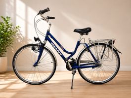 🚲❤️Velo Giant❤️🚲