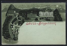 Mondschein-Lithographie Bürgenstock, Ho