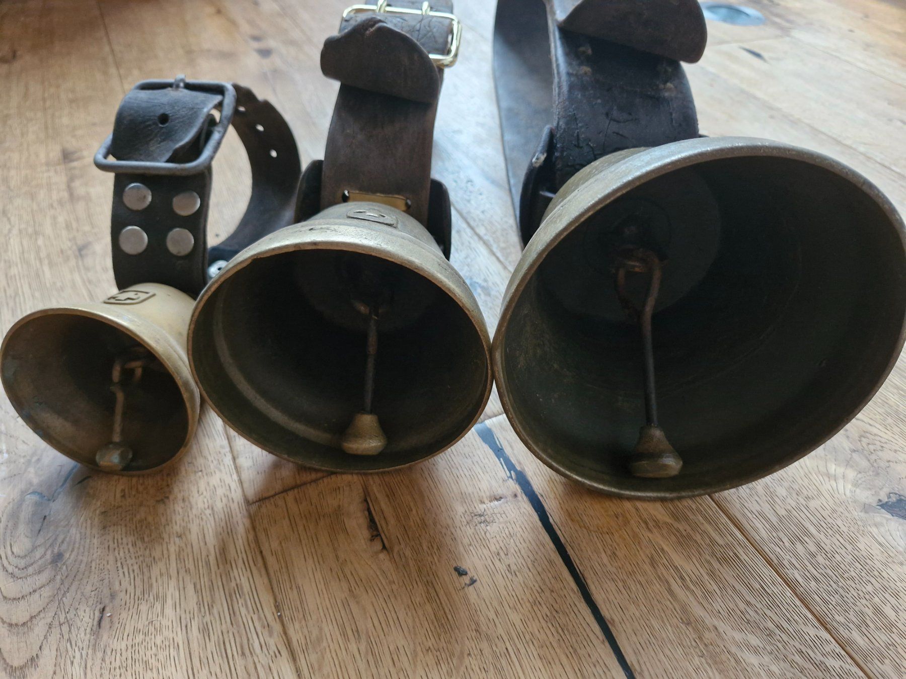 Campanacci mucche: Glocken Treicheln – Usato da Guarda venduto da rue_bpd7 2