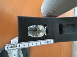 SWAROVSKI  Sammlung Auflösung  EULE