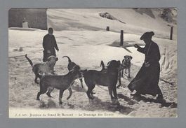 HOSPICE DU GRAND ST. BERNARD - LE DRESSAGE DES CHIENS