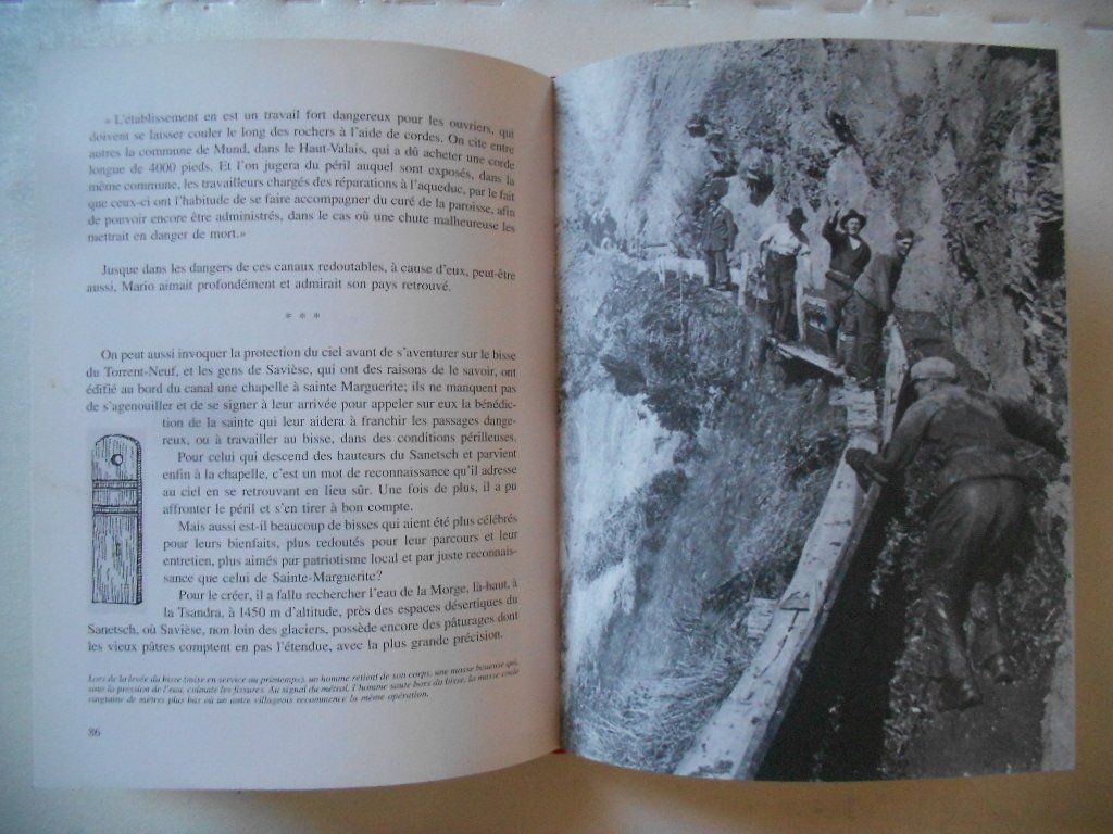 Libri: AU PAYS DES BISSES – Usato da Bex venduto da Giorgiob 2