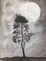 Arbre, vu de nuit. original au charcoal.