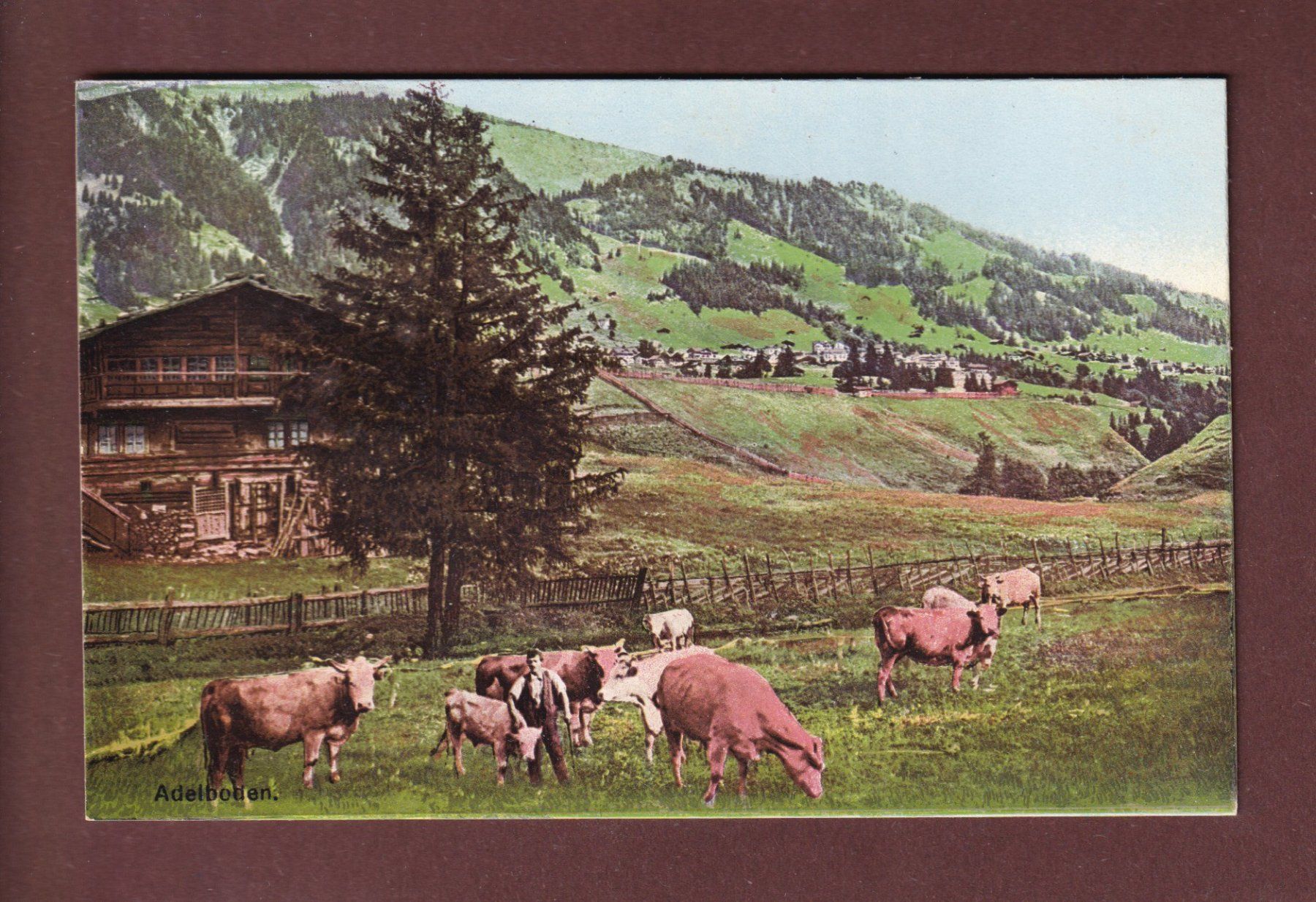 Cartoline postali: ADELBODEN - Kühe – Usato da Pully venduto da nicecards-shop
