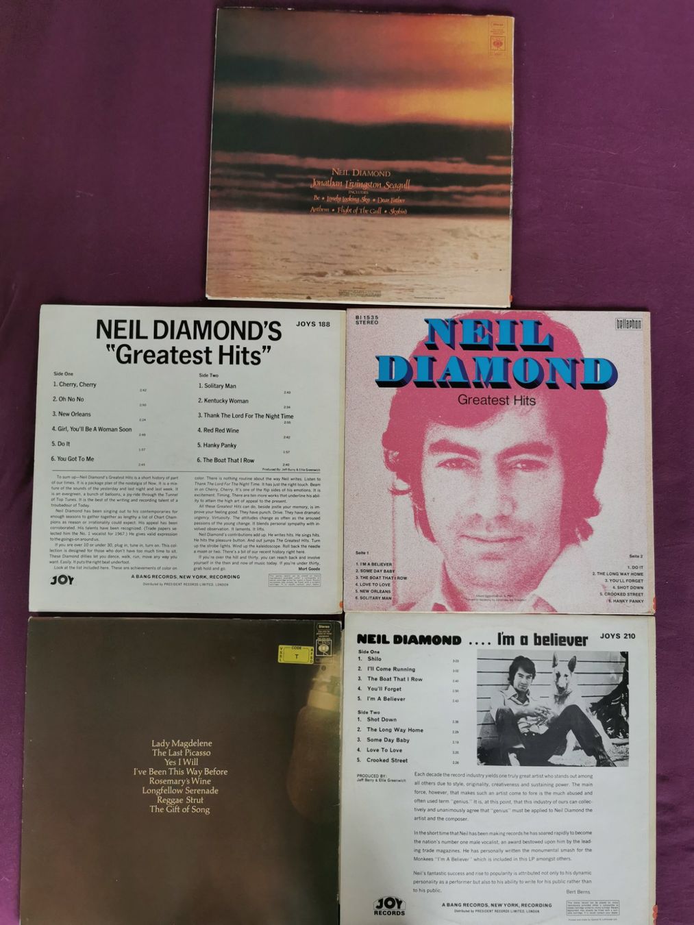 Dischi in vinile: Neil Diamond:  5 LP's – Usato da Gockhausen venduto da Porcini56 1