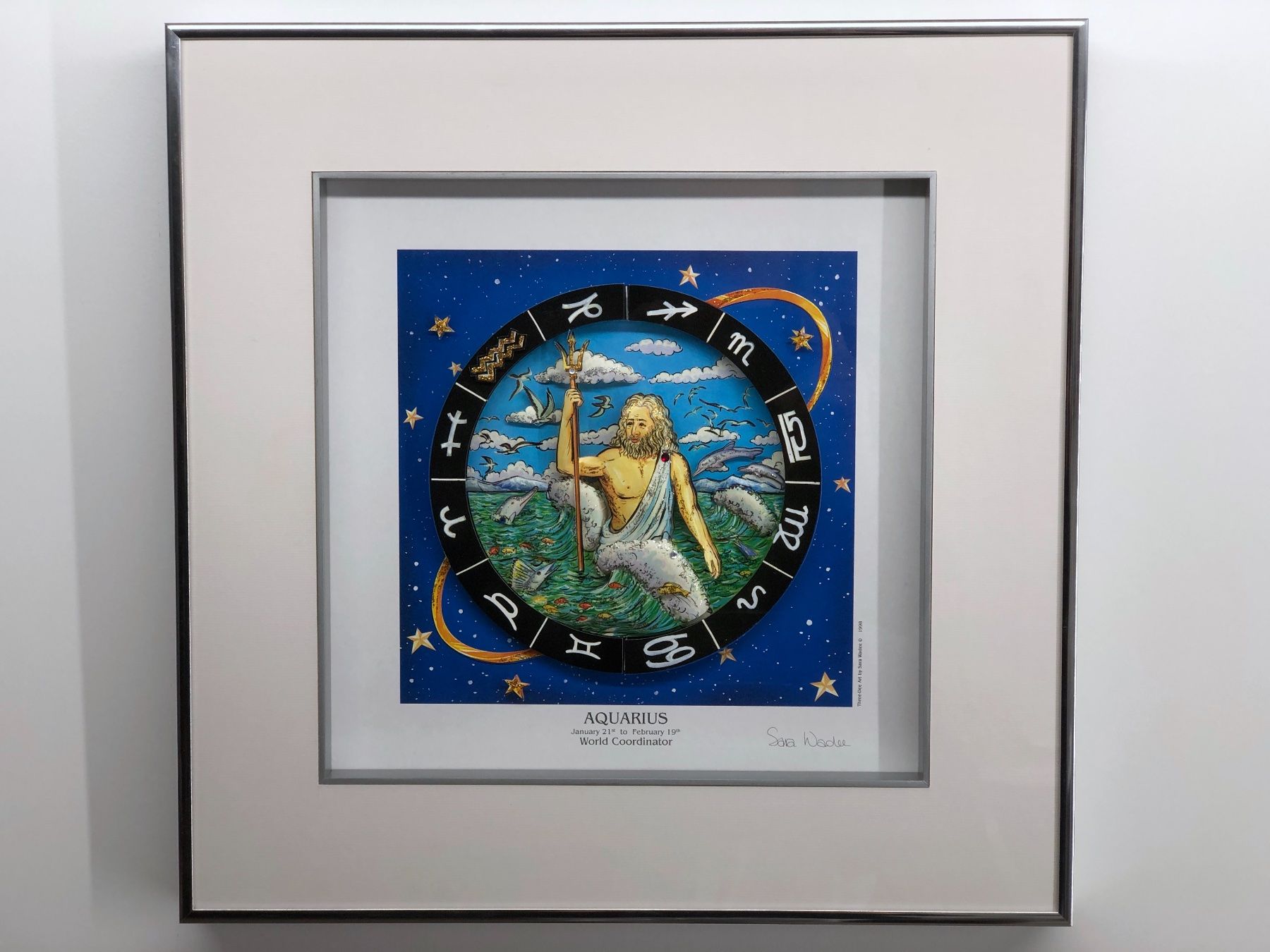 Dipinti: 3D Bild / Sternzeichen Wassermann / 40x40cm - Silber – Nuovo e nell'imballaggio originale da Bergdietikon venduto da Garak 2