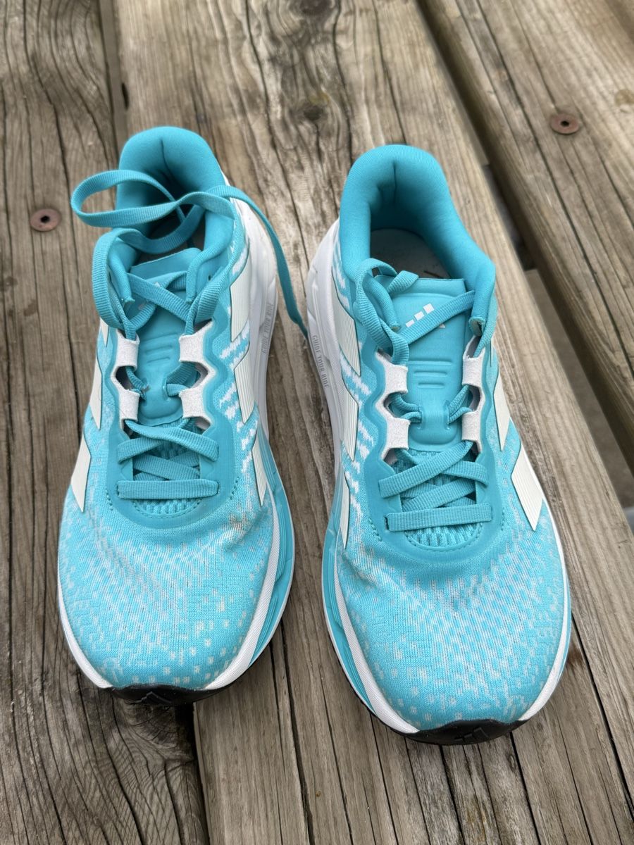 Adidas Chaussures femmes: Adidas Adistar Charge W Grösse 42 2/3 neu – D'occasion à Mamishaus par Luno63 2