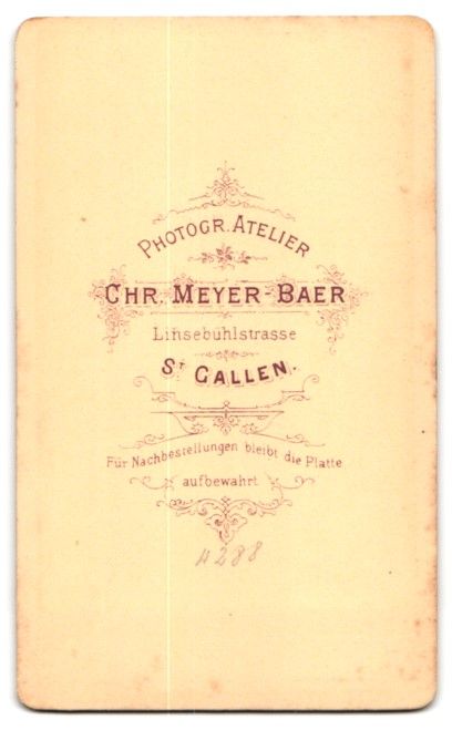 Fotografie & Manifesti: Fotografie Chr. Meyer-Baer, St. Gallen,  – Usato da Berlin venduto da bartko-reher 1