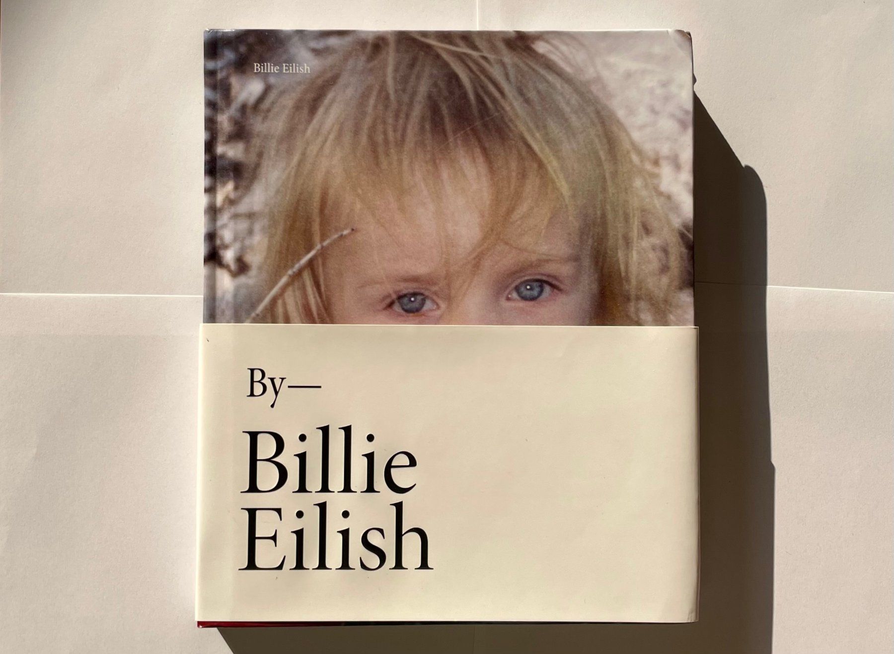Libri: By Billie Eilish - Neuwertig Buch – Nuovo (secondo la descrizione) da Winterthur venduto da lil_bz5j