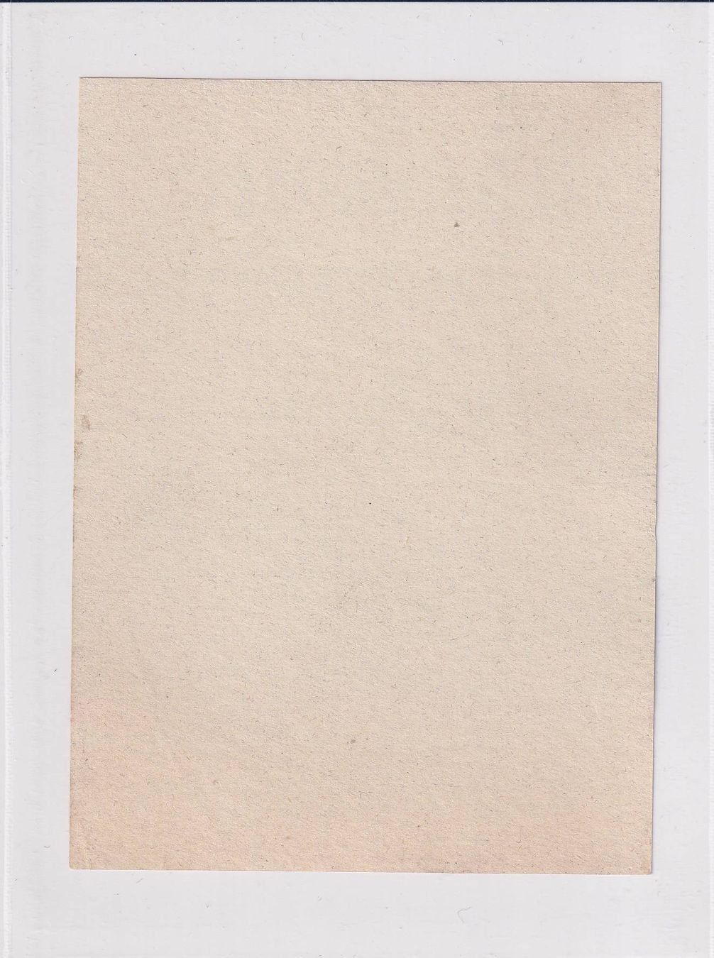 Carta: Etikette für Wein - Hallauer /bd – Usato da Hombrechtikon venduto da Rudolf07 1
