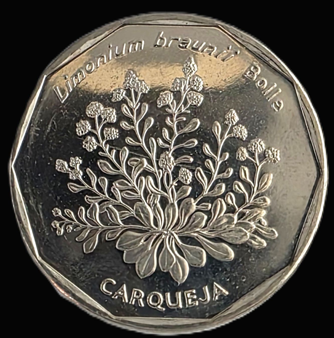 Tutti le monete: CAPO VERDE 20 ESCUDOS 1994 – Usato da winterthur venduto da CoinPassion