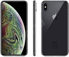Apple iPhone Xs Max, 512GB, Space Grau (Modell A2101)