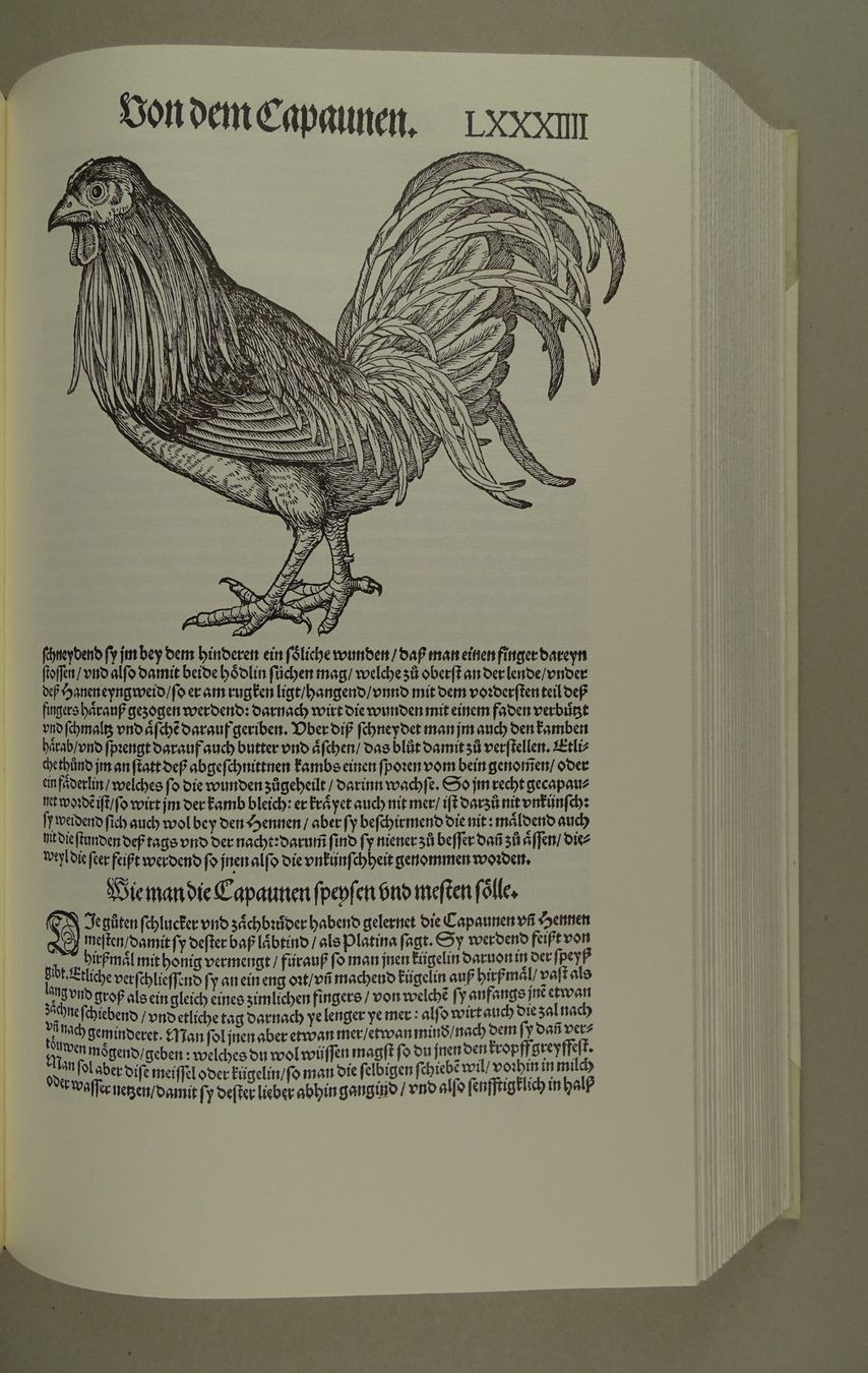 Libri: CONRAD GESSNER: VOGELBUCH, FAKSIMILE – Usato da Grüningen venduto da Kartensammler 3