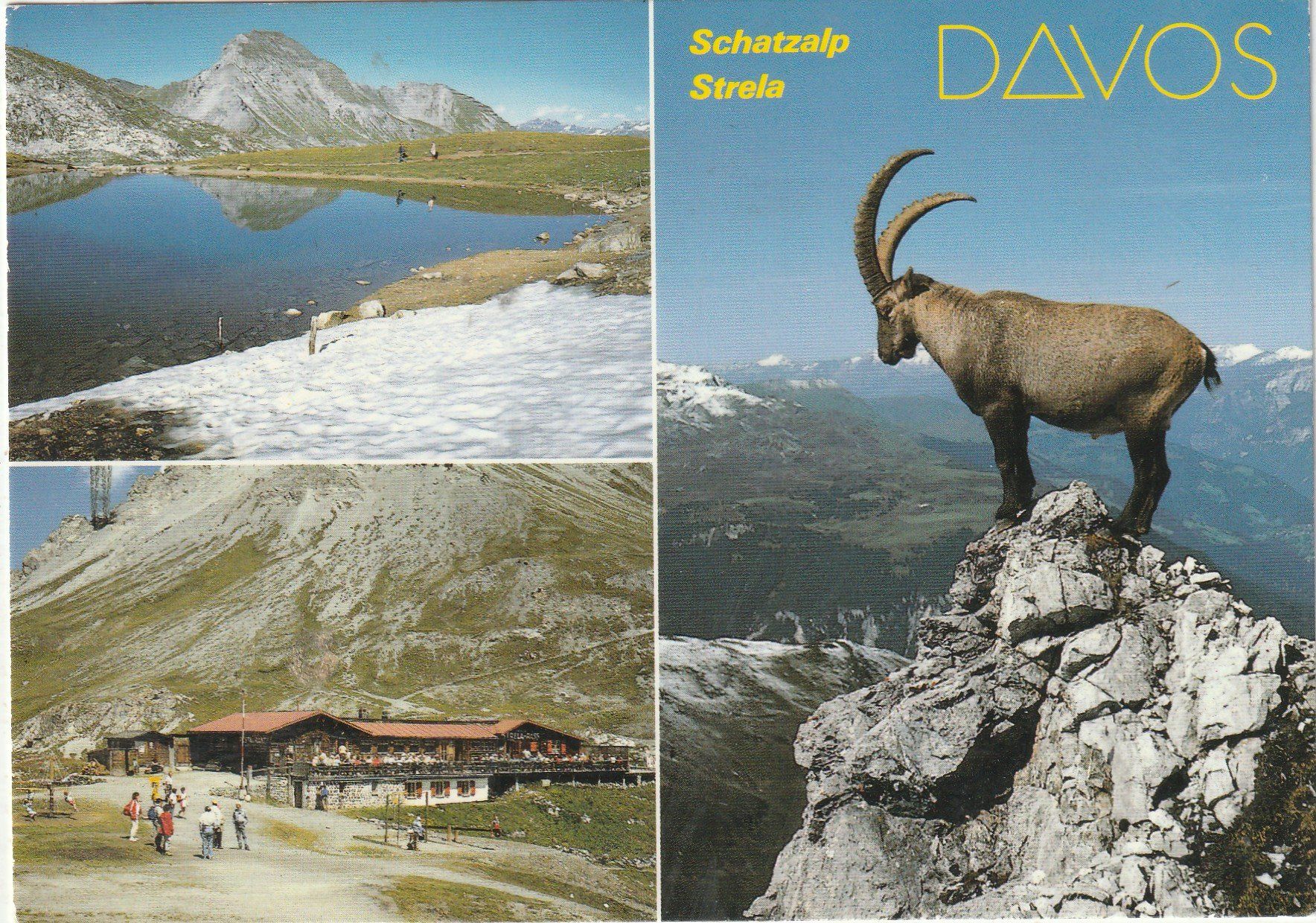 Ansichtskarten: 10 Diverse Karten Graubünden – Gebraucht aus Lumbrein von made02 9