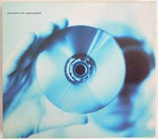 PORCUPINE TREE - STUPID DREAM
