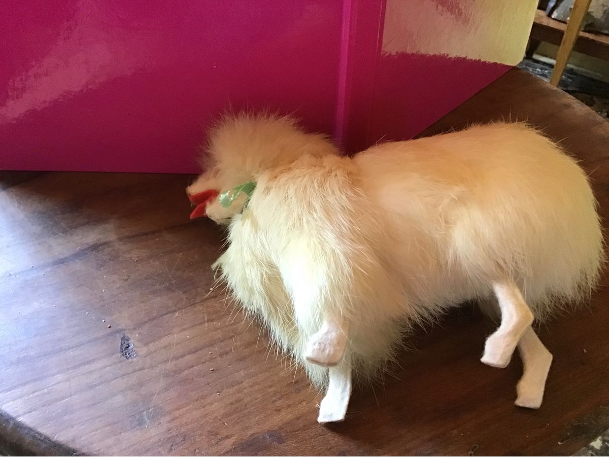 Giocattoli: Alter Echtfell Puppen Hund – Usato da St. Gallen venduto da Goldlilly 3