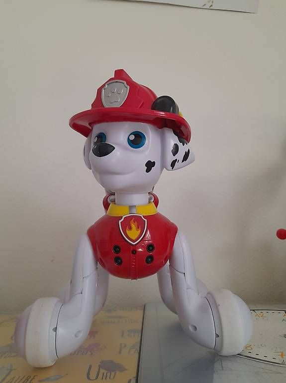 Giocattoli: Roboter Paw Patrol Marshall – Usato da Hochdorf venduto da gal_w9hk
