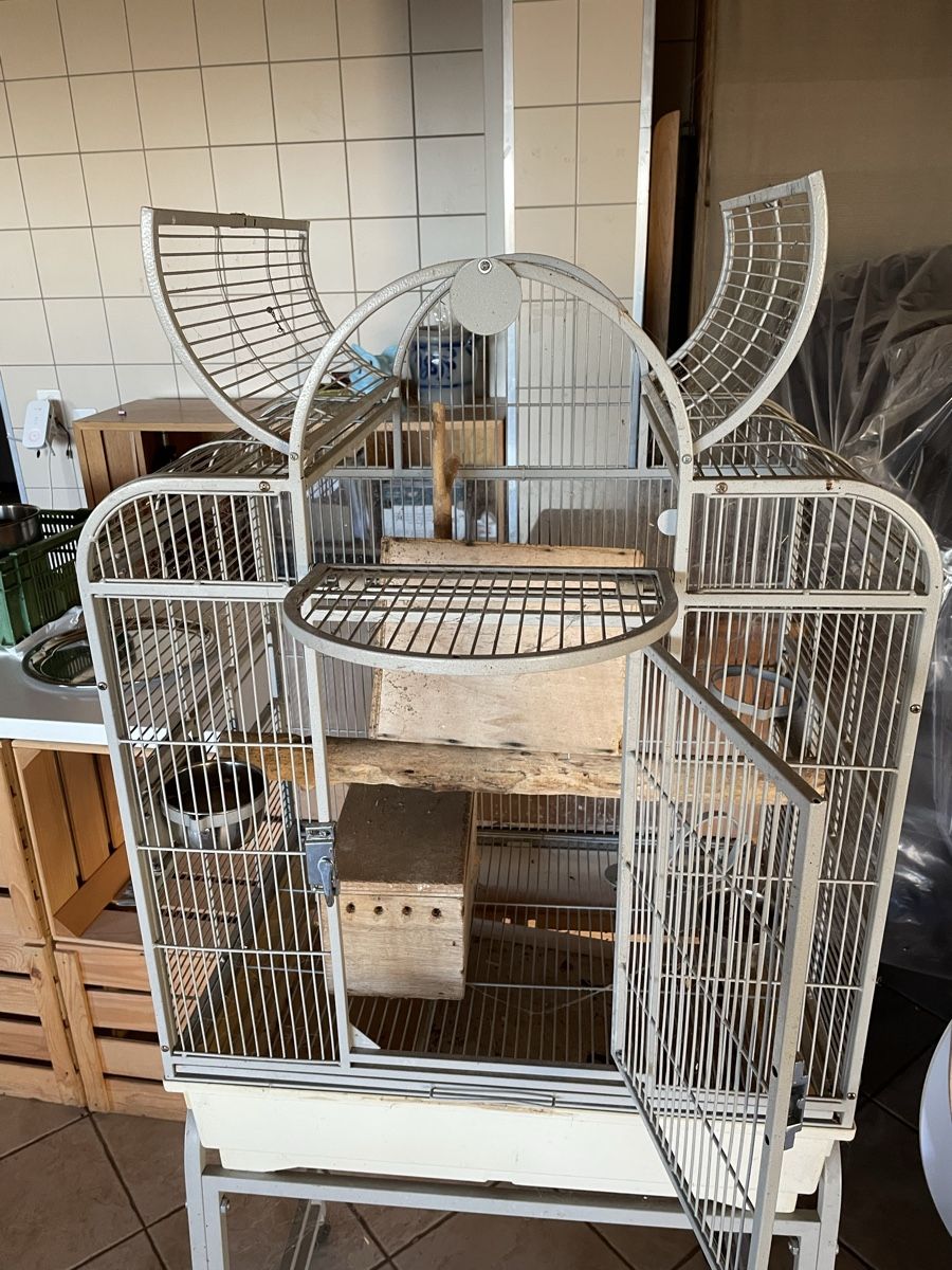 Gabbie, trasporto & Sicurezza: Cage oiseaux – Usato da Gingins venduto da nweb 1