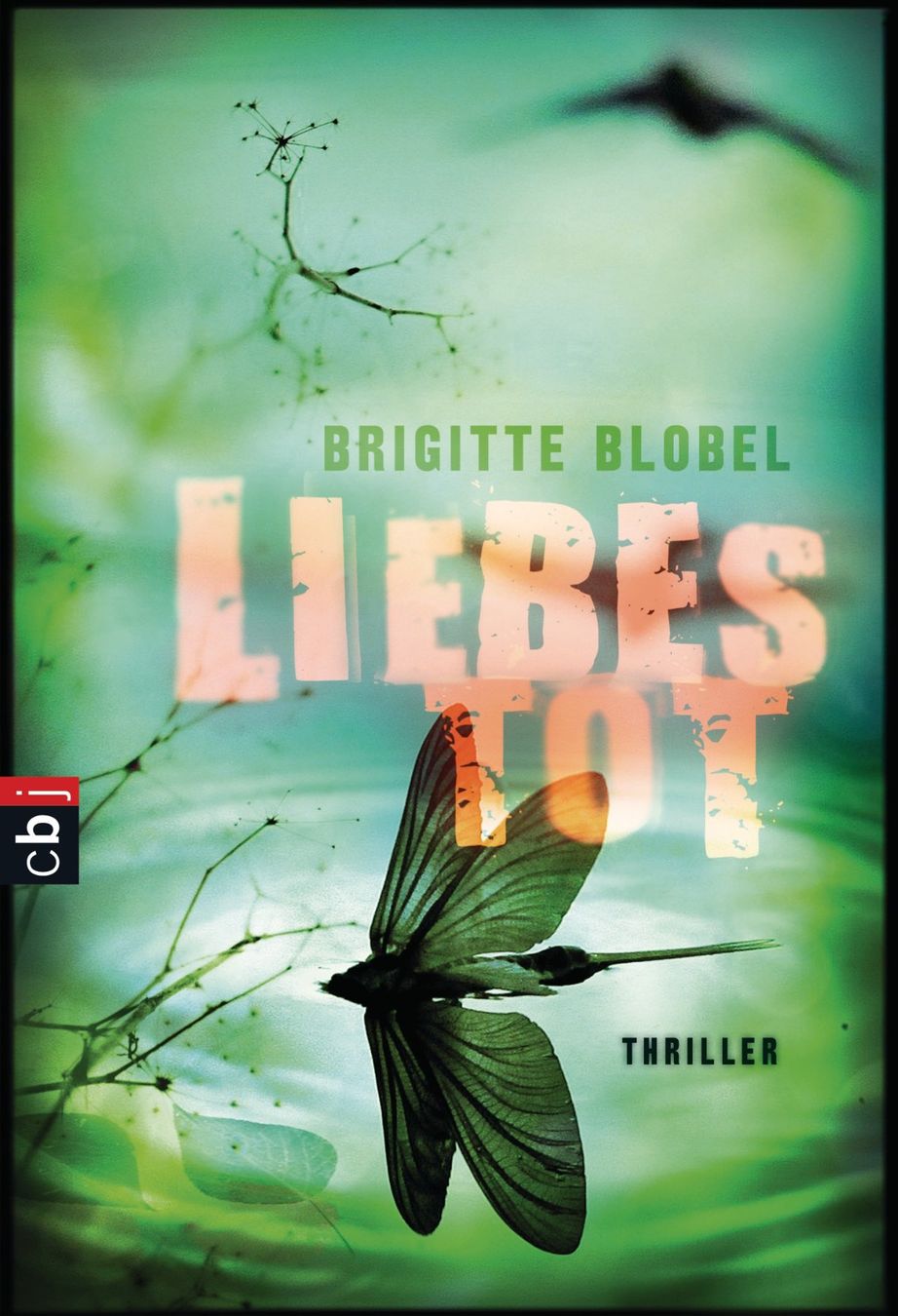 Bücher: Blobel Brigitte - Liebestod / Jugendbuch – Gebraucht aus Schaffhausen von buecherlaus-junior