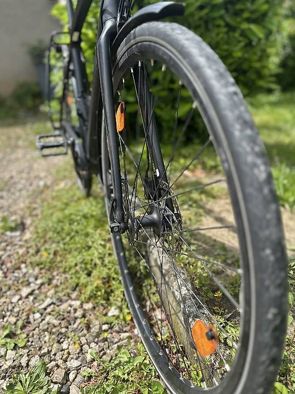 Biciclette: Specialized source courroie alfine 11 – Usato da Plan-les-Ouates venduto da Johnlayn 4