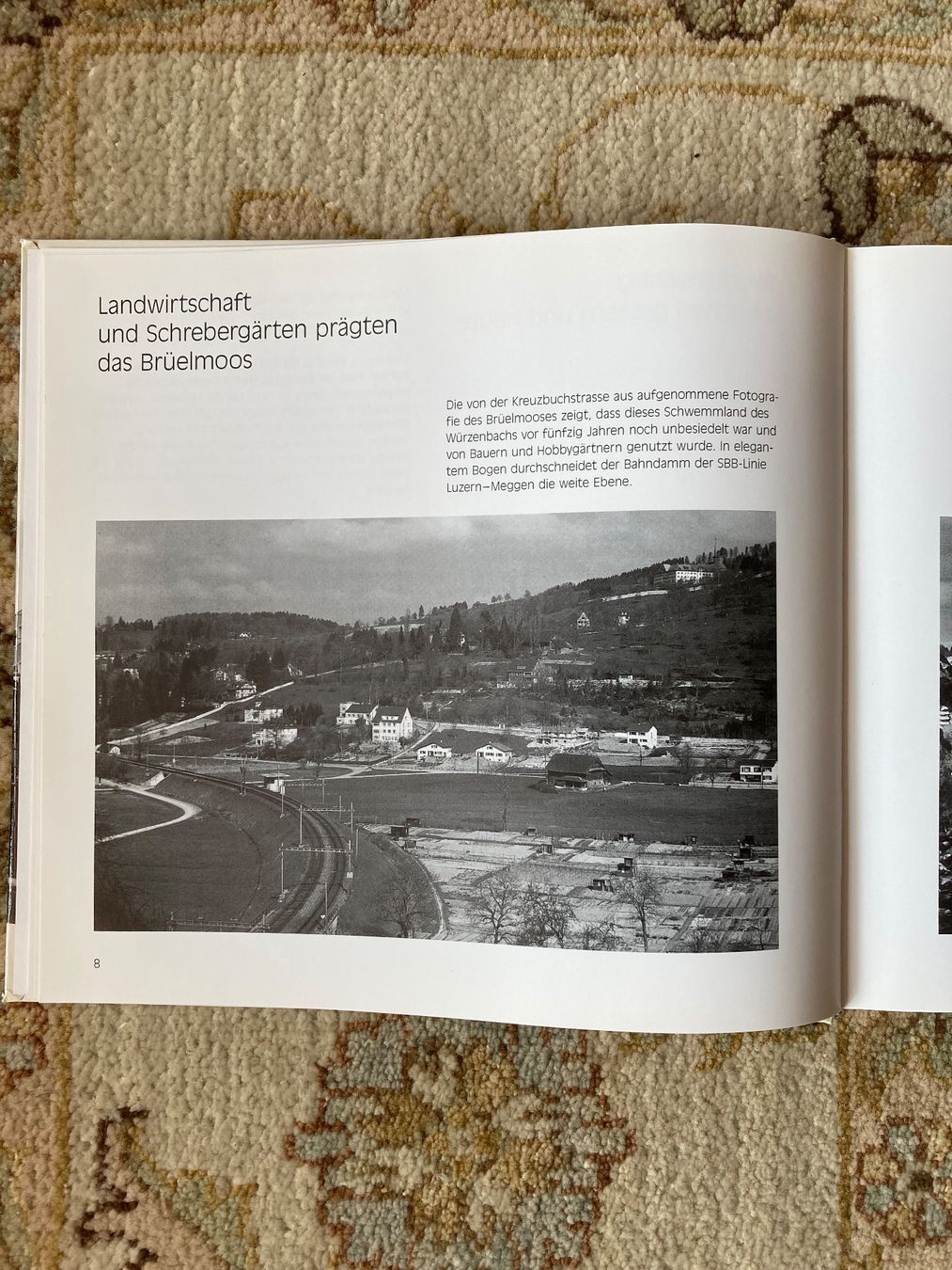 Libri: Michael Riedler : So veränderte sich Luzern – Usato da Niederuzwil venduto da Clara-Marie 3