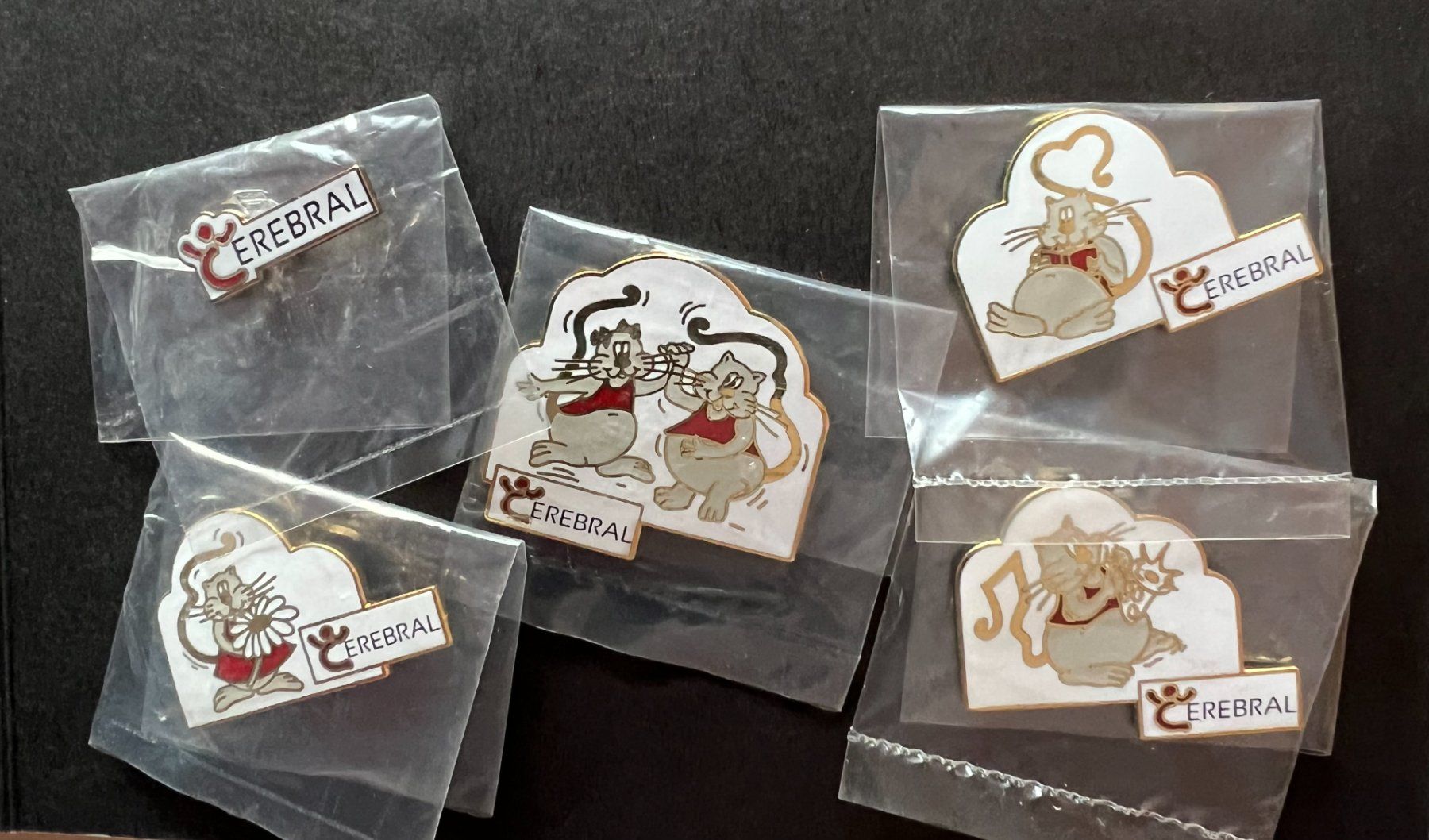 Placchette & Badge: Ansteck-Pins "CEREBRAL" 5er Set.Neu – Nuovo e nell'imballaggio originale da Winterthur venduto da Green-Future 6