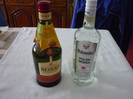 1x Licor Beirao und 1x Polish Wodka