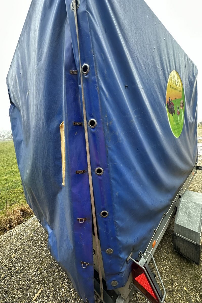 Daltec Rimorchi: Anhänger mit Verdeck – Usato da Deitingen venduto da RK68 1