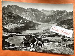 1965 Blick von der Gulmenalp, Amden SG, mit Walensee 