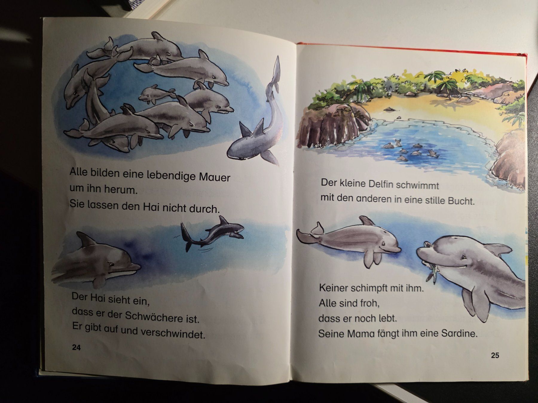 Bücher: Leserabe - Delfin Geschichten - 2005 – Gebraucht aus Walterswil BE von Lonitti 8