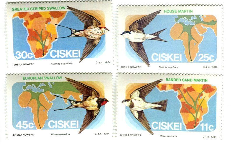 Alle Briefmarken: Briefmarken "Schwalben". Ciskei. – Neu und originalverpackt aus Basel von Butsch5