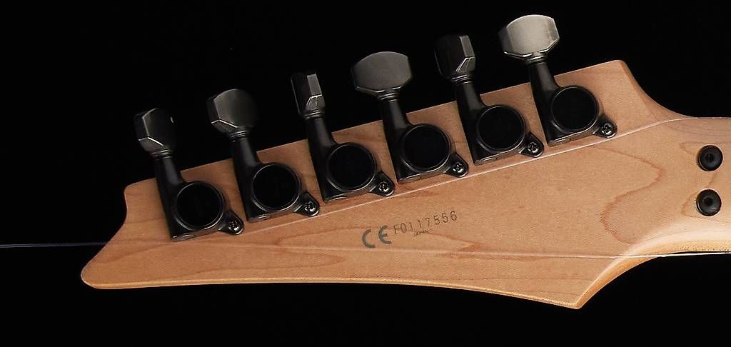 Strumenti musicali: Ibanez RG570EX DNA Swirl Refinished – Usato da Froideville venduto da ChrisGuitars 7