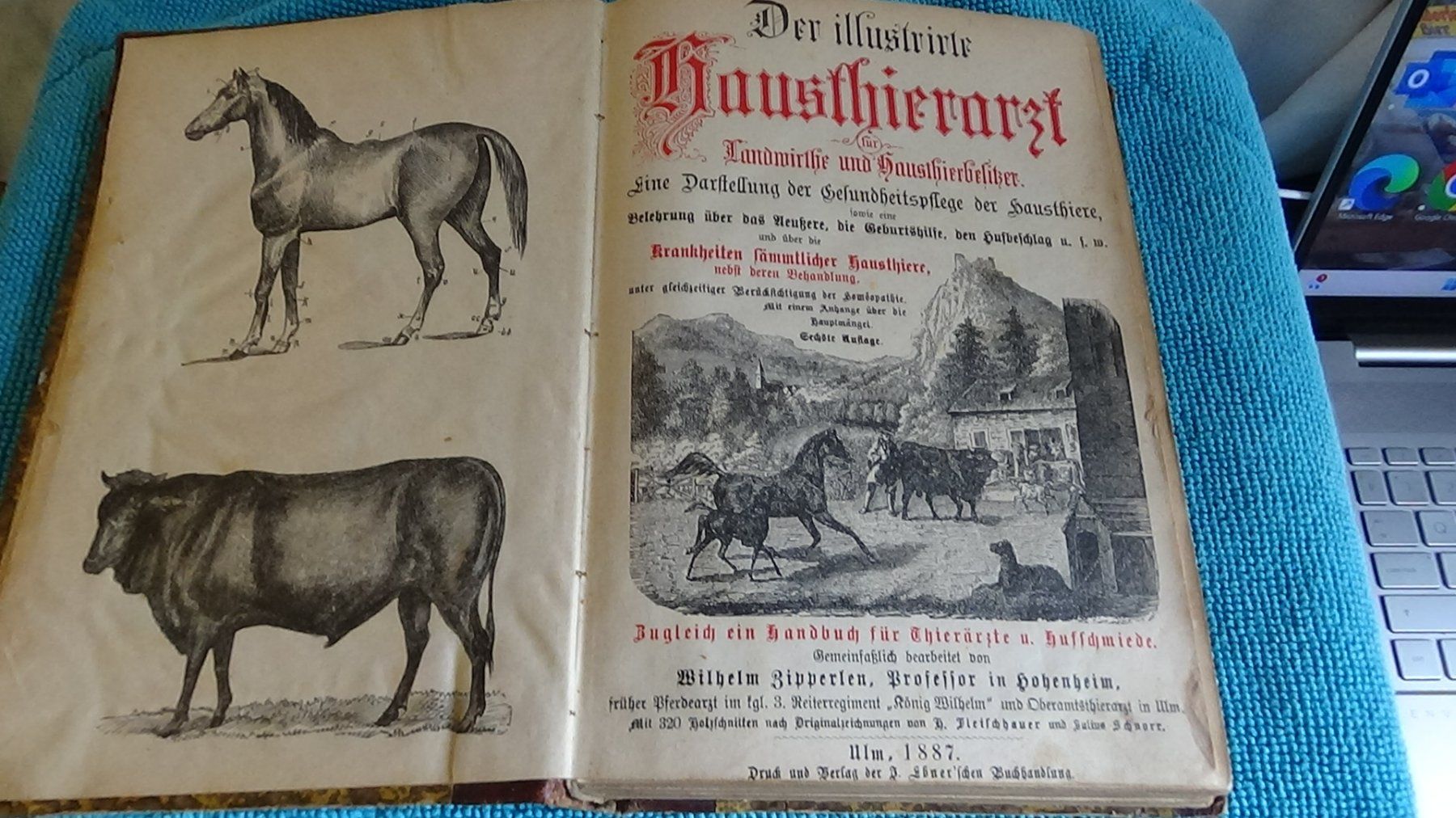 Bücher: Antikes Buch der Haustierarzt 1887 – Gebraucht aus Wiedlisbach von Bobesch10 1