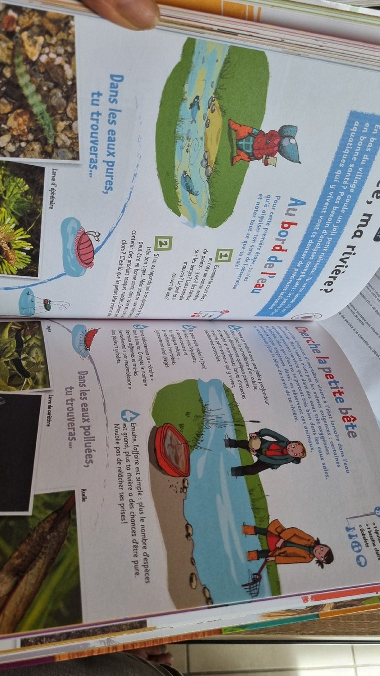 Libri: Livre d'activités nature – Usato da Corbeyrier venduto da Lalaland99 4