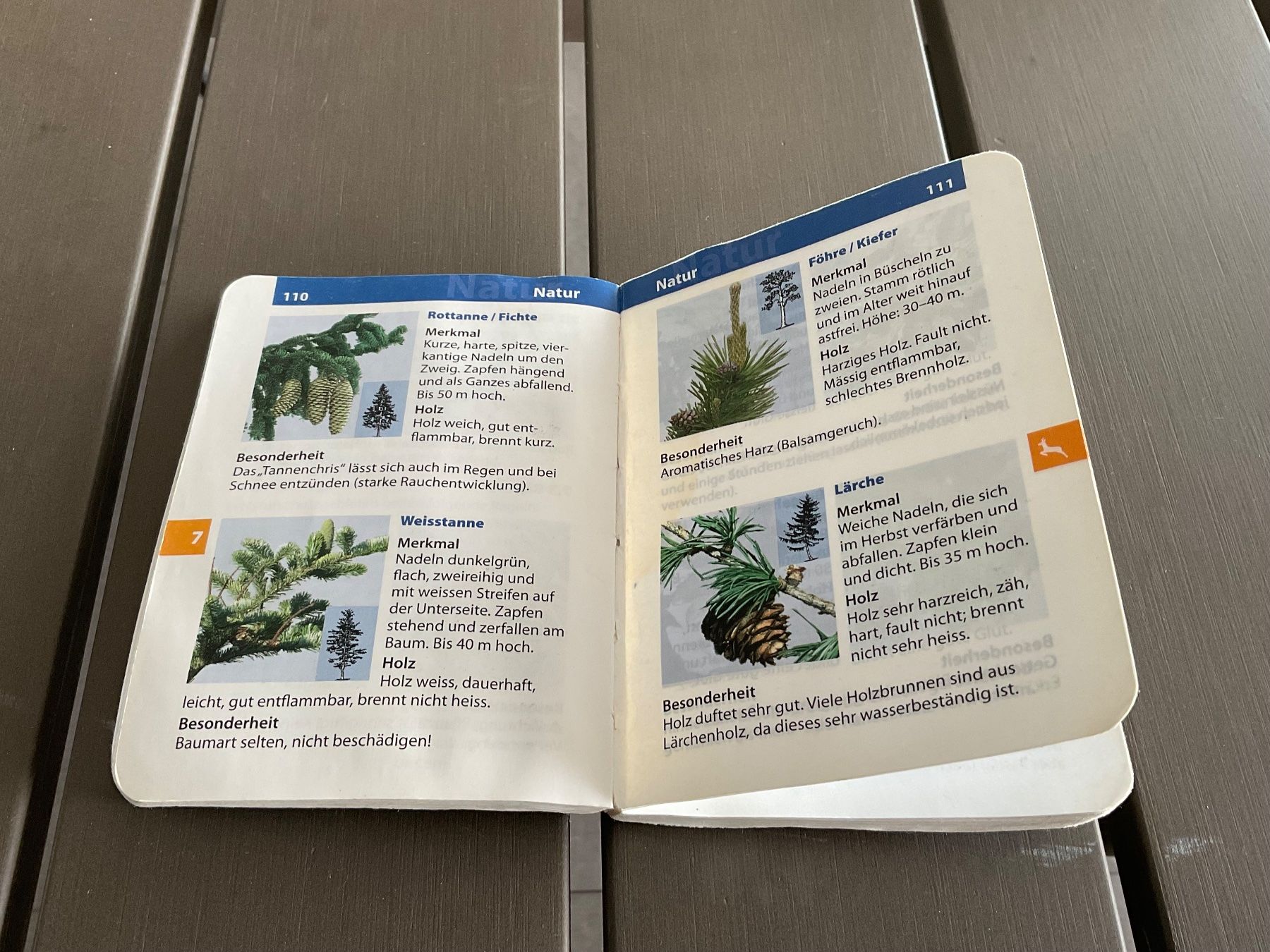 Libri: Technix Buch Rony Müller Pfadi – Usato da Herdern venduto da sar_l8sf
