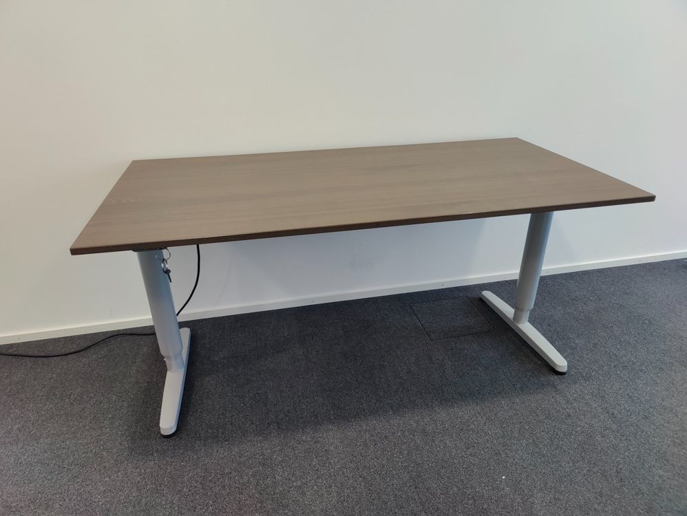 Scrivanie: Bürotisch 160x80 Höhenverstellbar – Usato da Cham venduto da owaco