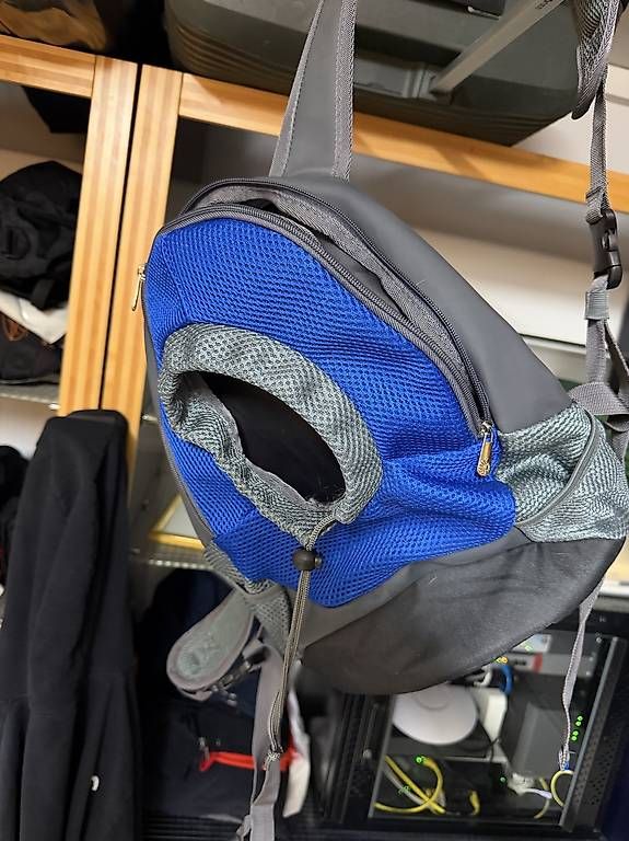 Zaini: Klein Hund Transport Rucksack – Usato da Horgen venduto da Jaromir6