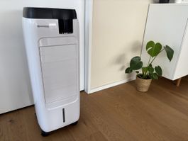 Sonnenkönig Air Fresh 12 Lufterfrischer