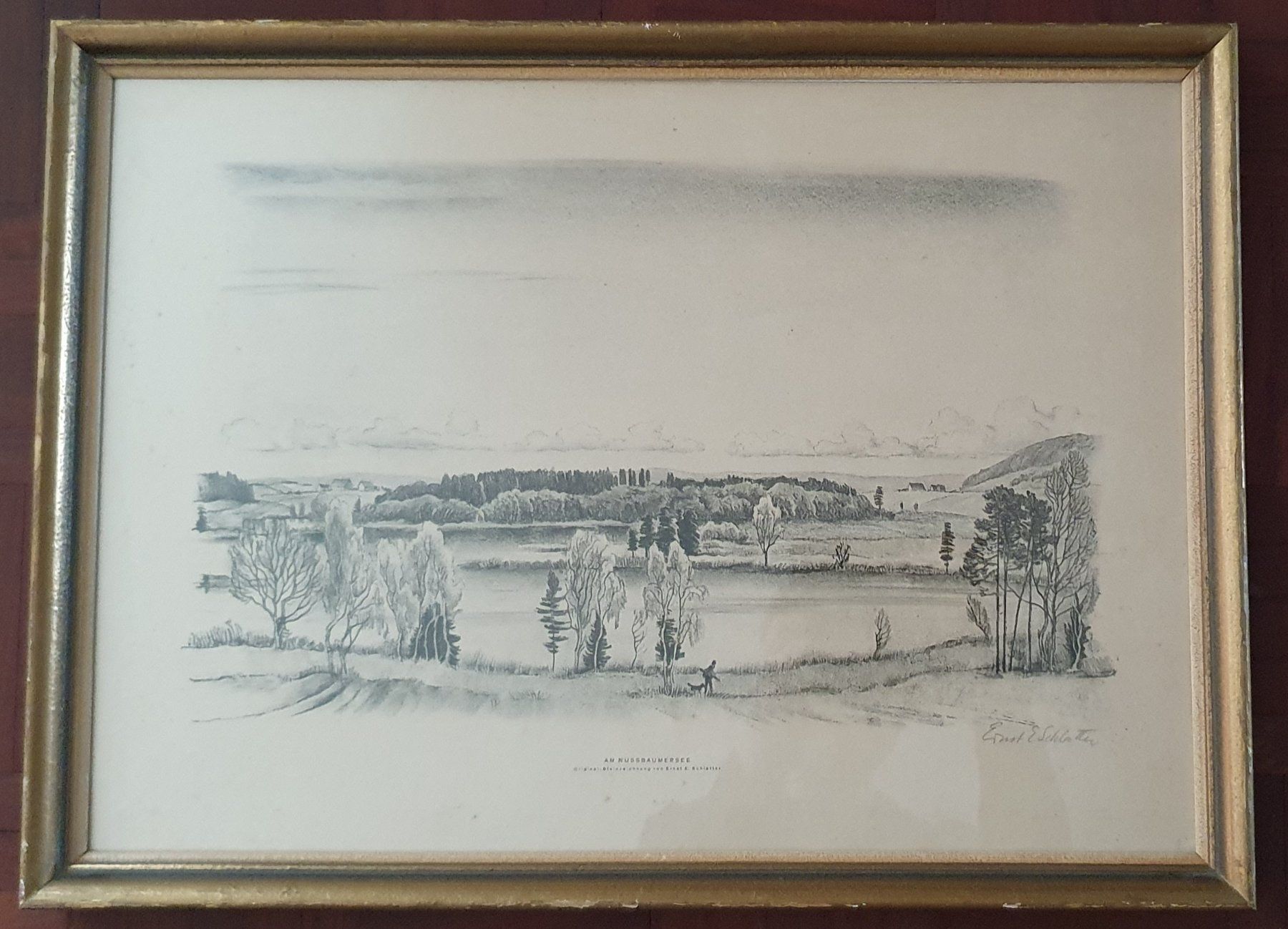 Foto & Immagini: Bild - Am Nussbaumersee,  Ernst E. Schlatter – Usato da Kreuzlingen venduto da Rschweiz1