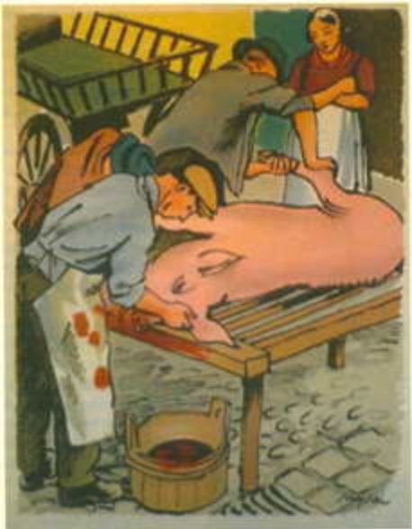 Grafica & Litografie: Cochon – Usato da Vevey venduto da yve_7dpw