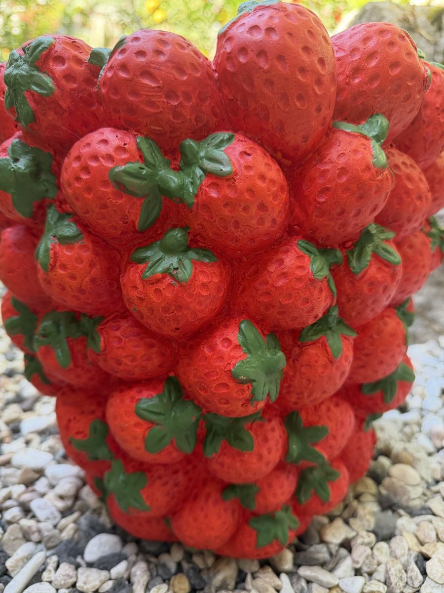 Blumentöpfe: Dekorativer Blumentopf  – Gebraucht aus Pfäffikon ZH von lenaviktoria 1