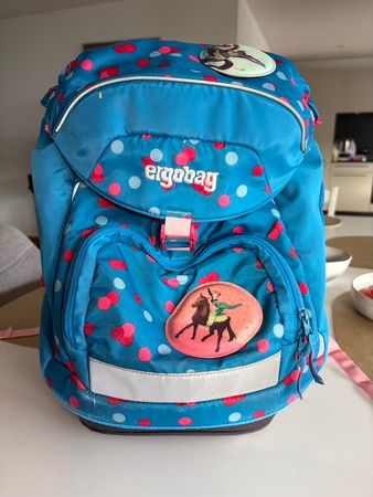 Ergobag Schulrucksack – gebraucht, gepflegt, guter Zustand