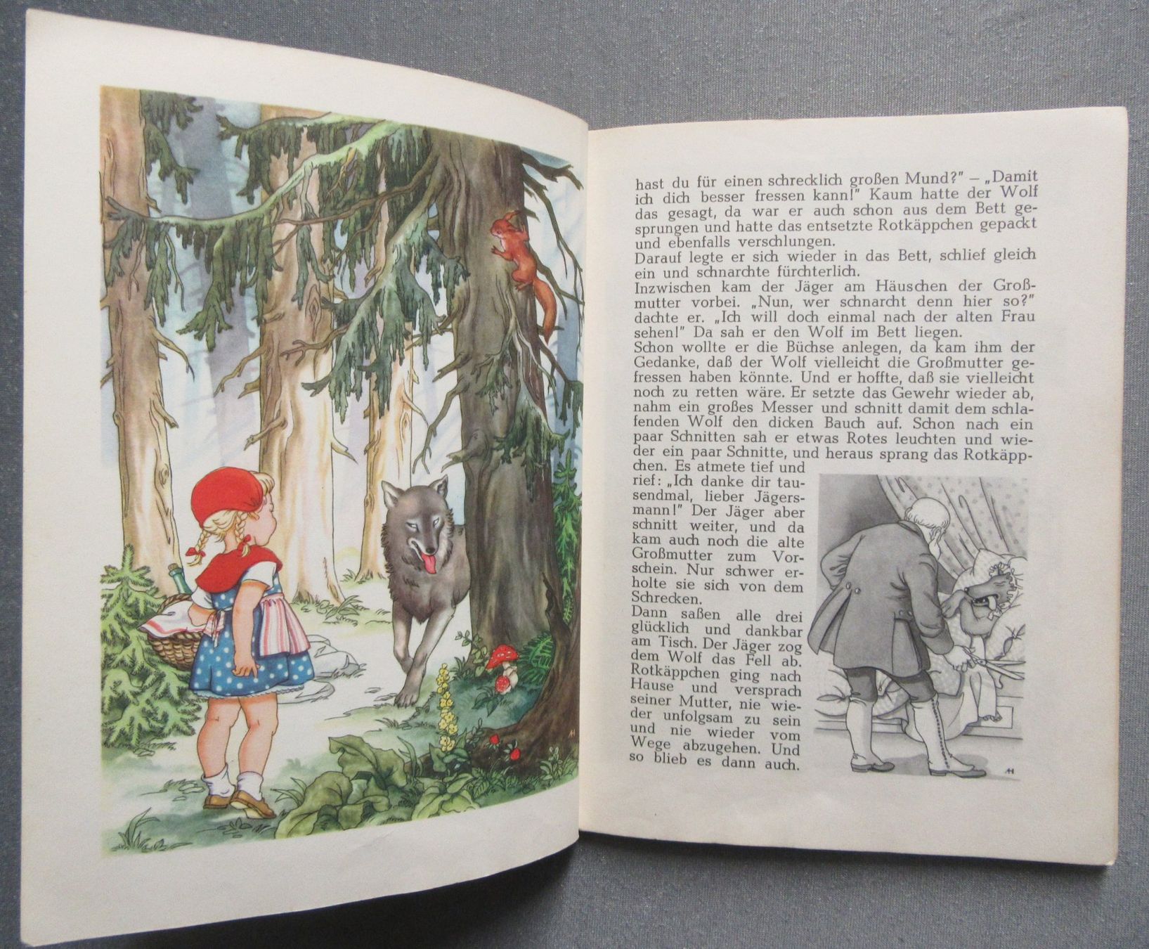 Libri: 12 der schönsten Grimms Märchen  - schön illustriert – Usato da Auenstein venduto da Padabimbim 3
