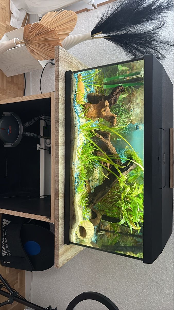Juwel Aquarium: Aquarium 100L – Neu (gemäss Beschreibung) aus Eriswil von ale_g2g8