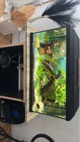 Aquarium 100L