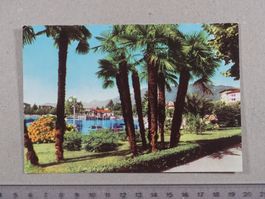 Locarno, 1981